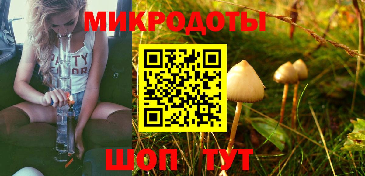 как найти закладки  Псилоцибиновые грибы Psilocybe  Вход с VPN  Армавир 